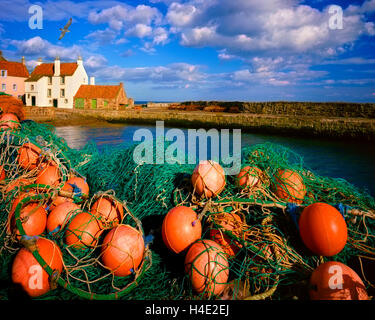 GB - Schottland: Pittenweem Hafen Stockfoto