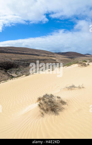 Wüstenlandschaft auf Jandia Halbinsel in der Nähe von Sotavento Beach, Fuerteventura, Kanarische Inseln, Spanien Stockfoto