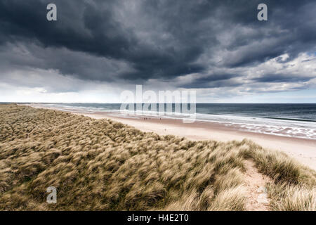 Sturmfront nähert sich die Sanddünen entlang der Küste an der Druridge Bucht, Northumberland Stockfoto
