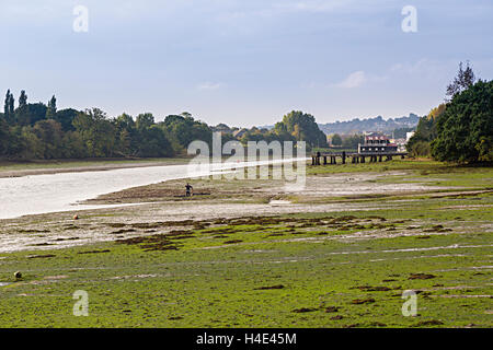 Ebbe im Mündungsgebiet des Flusses Medina mit Mann auf der Suche nach Würmern in Schlamm, Isle Of Wight, Großbritannien Stockfoto