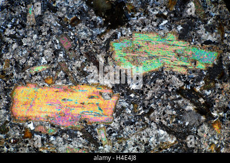 Minette, Dünnschliff, polarisiert Mikrophotographie, Sedbergh, Yorkshire, Großbritannien Stockfoto