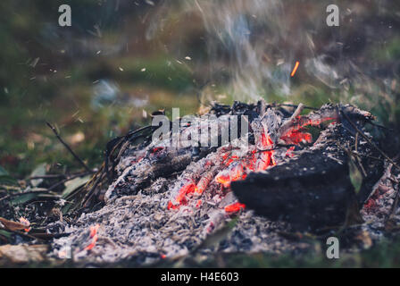 Abend am Lagerfeuer mit Platz für Ihren Text. Stockfoto