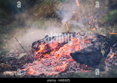 Abend am Lagerfeuer mit Platz für Ihren Text. Stockfoto