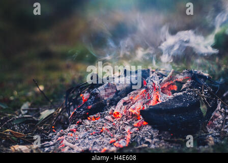 Abend am Lagerfeuer mit Platz für Ihren Text. Stockfoto