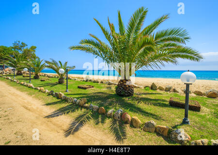 Strandpromenade mit Palmen am Strand, Cala Sinzias, Insel Sardinien, Italien Stockfoto