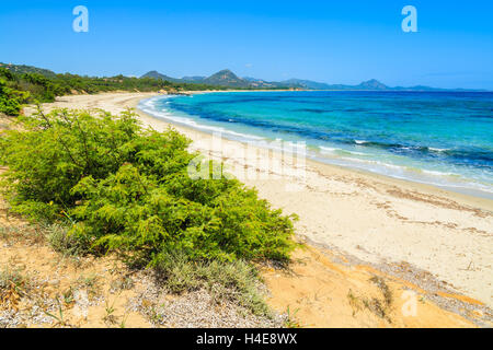 Peppino Strand und Kristall klaren türkisblauen Meer, Insel Sardinien, Italien Stockfoto