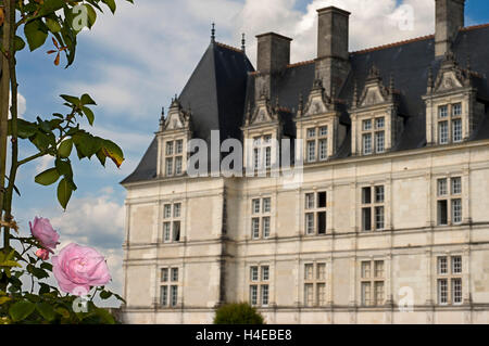 Das Schloss und die Gärten von Villandry, Loiretal, Frankreich. Das schöne Schloss und Gärten von Villandry, UNESCO-Weltkulturerbe, Indre et Loire, Centre, Frankreich, Europa. Diese Gärten sind in verschiedene Bereiche unterteilt; Zierpflanze, neben dem Schloss (gewidmet der zärtlichen Liebe, leidenschaftliche Liebe, die Untreue Liebe und tragische Liebe); Ein Wassergarten rund um den Teich; und einen Garten von Heilkräutern; aromatische; und Gartenbau. Stockfoto