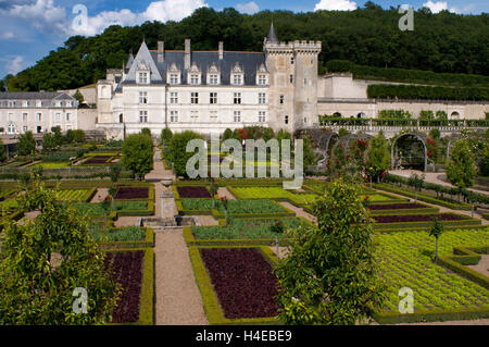 Das Schloss und die Gärten von Villandry, Loiretal, Frankreich. Das schöne Schloss und Gärten von Villandry, UNESCO-Weltkulturerbe, Indre et Loire, Centre, Frankreich, Europa. Diese Gärten sind in verschiedene Bereiche unterteilt; Zierpflanze, neben dem Schloss (gewidmet der zärtlichen Liebe, leidenschaftliche Liebe, die Untreue Liebe und tragische Liebe); Ein Wassergarten rund um den Teich; und einen Garten von Heilkräutern; aromatische; und Gartenbau. Stockfoto