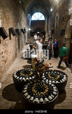 Weinprobe im Schloss Brissac-Quitte, Schloss Brissac, in der Nähe von Angers, soll das größte Schloss in Frankreich, Maine-et-Loire, Pays De La Loire, Frankreich, Europa Stockfoto