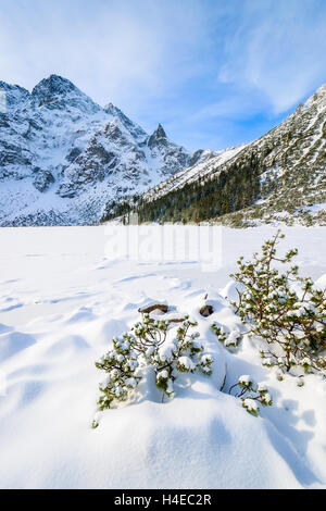 Neuschnee auf gefrorenen Morskie Oko-See im Winter, Tatra-Gebirge, Polen Stockfoto