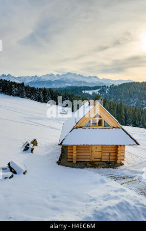 BUKOWINA TATRZANSKA, Polen - FEB 15: Traditionelle Häuser aus Holz in Bukowina Tatrzanska in Winterlandschaft der hohen Tatra am 15. Februar 2014. Stockfoto
