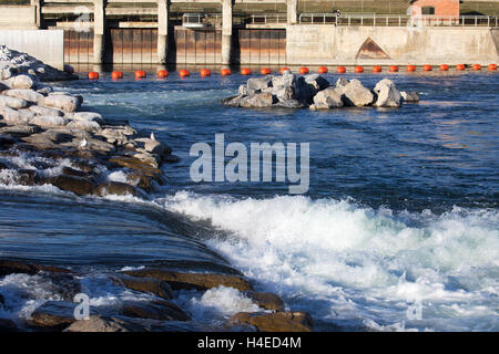 Harvie Passage, Wehr- und Freizeiteinrichtung für Wassersport auf dem Bow River Stockfoto