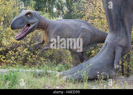 Tyrannosaurus rex Baby geht neben dem Fuß eines erwachsenen Elternteils, Dinosauriermodelle in einem prähistorischen Park Stockfoto