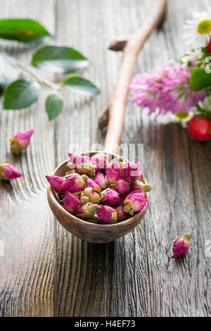 Trockener rose Tee Blütenknospen in einem Holzlöffel. Konzept des Wohlbefindens, Farben, Diät und gesunde Lebensweise Stockfoto