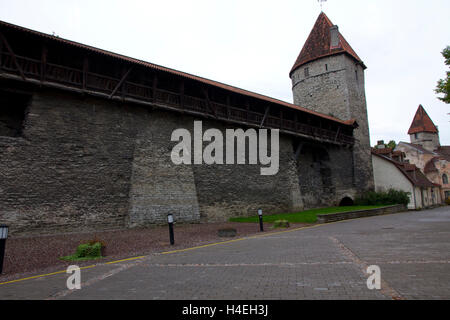 Ein Abschnitt von Tallinn imposante 14. Jahrhundert Stadtmauer steht noch vor dem Eingang zu der mittelalterlichen Altstadt. Stockfoto