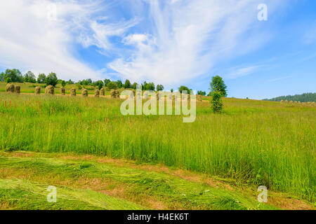 Frisch geschnitten Sie Heu auf der grünen Wiese im Sommerlandschaft Gliczarow Gorny, hohe Tatra, Polen Stockfoto