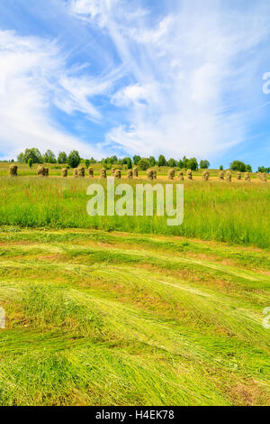 Frisch geschnitten Sie Heu auf der grünen Wiese im Sommerlandschaft Gliczarow Gorny, hohe Tatra, Polen Stockfoto