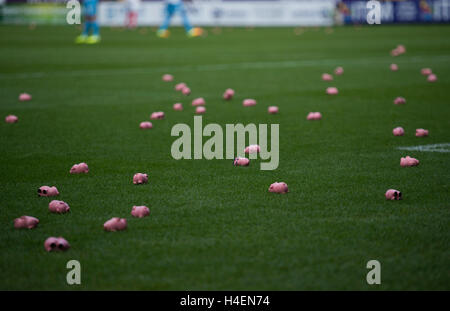 Charlton Athletic und Coventry City Fans veranstalten einen gemeinsamen Protest gegen ihren jeweiligen Besitzern wie sie Plastikgeld Schweine auf dem Spielfeld werfen. Stockfoto