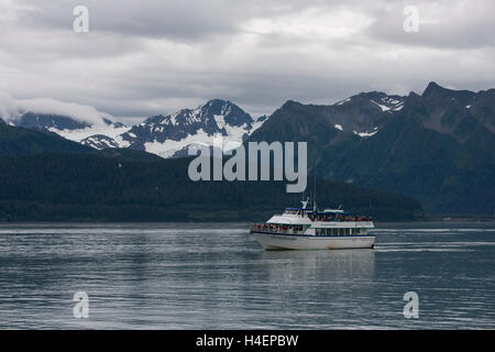 Alaska, Seward. Kenai Fjords Nationalpark, Resurrection Bay. Kenai Fjords Touren, Sightseeing Cruise Touristenboot. Stockfoto