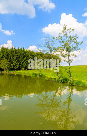 Bäume am See in der Landschaft im südlichen Frühling, Burgenland, Österreich Stockfoto