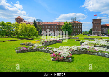 Bunte Blumen in Schloss Wawel, Krakau, Polen Stockfoto
