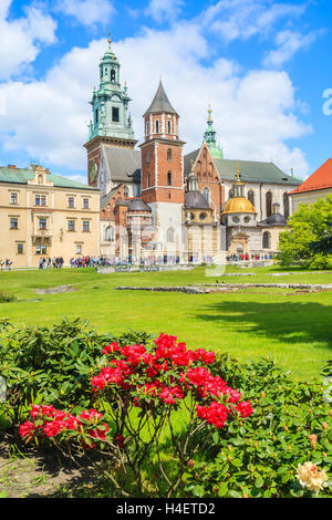 Wawel-Schloss im Frühjahr und rote Blumen blühen, Krakau, Polen Stockfoto