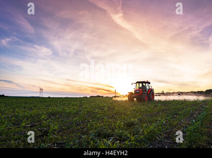 Varna, Bulgarien - 10. Juni 2016: Kubota Traktor im Feld. Kubota Corporation ist ein japanischer Baumaschinen-Hersteller mit einem Stockfoto