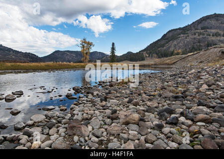 Yellowstone NP, Wyoming, Slough Creek in das Lamar valley Stockfoto