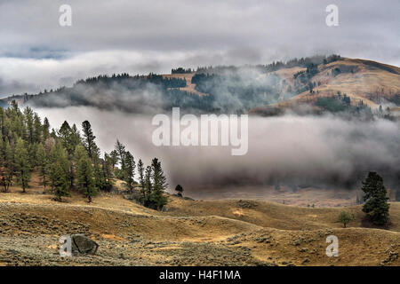 Yellowstone NP, Wyoming, Lamar valley Stockfoto