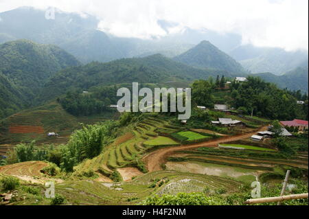 Berglandschaft. Cat Cat Dorf im Muong Hoa-Tal in der Nähe von Sapa, Vietnam, Asien Stockfoto