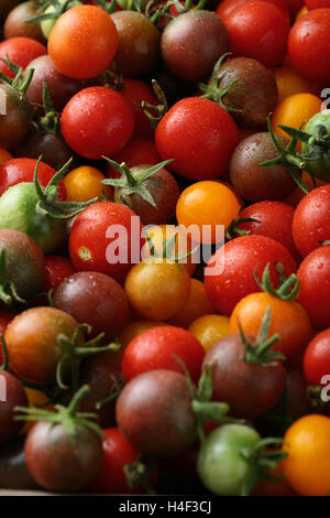 Mischung aus Kirschtomaten Closeup, Lebensmittel-Hintergrund Stockfoto