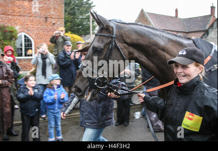 Denman, Gold Cup Sieger, gewinnen Pferde aus Cheltenham Festival von Paul Nicholls horse racing stable Parade durch Ditcheat Village, Somerset. England Stockfoto