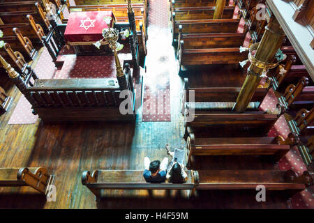 New York City, NY NYC Lower Manhattan, Chinatown, Eldridge Street Synagogue Museum, 1887, Erfahrung von Einwanderern, Religion, Judentum, Heiligtum, Bimah, Bänke, Erwachsene, Stockfoto