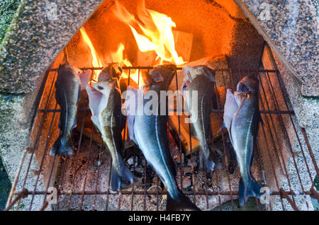 Fische (Dorsch und Seelachs) Grillen auf einem Feuer in Norwegen Stockfoto