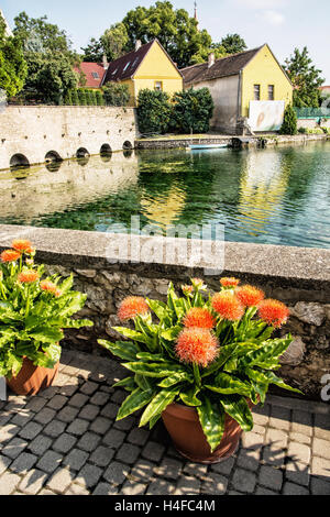 Die Architektur der Stadt spiegelt sich in den See, Tapolca in Ungarn, Mitteleuropa. Schöne Topfpflanzen. Stockfoto