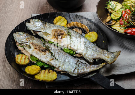 Gegrillte Forelle mit mediterranem Gemüse, frischen Fisch mit gesundes Gemüse, am besten Bio gesunde Mahlzeit Stockfoto