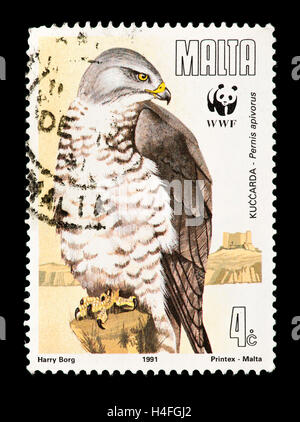 Briefmarken aus Malta, die europäischen Wespenbussard (Pernis Apivorus) Darstellung Stockfoto