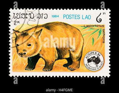 Briefmarke aus Laos Darstellung südlichen hairy-nosed Wombat (Lasiorhinus Latifrons) Stockfoto
