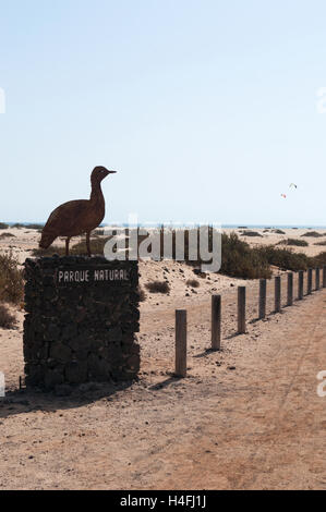 Fuerteventura: das Zeichen des Sand Dunes National Park in der Form eines Vogels Stockfoto