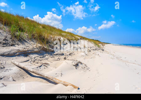 Trockenen Baumstamm auf Sanddüne und Strandblick in Lubiatowo Küstendorf, Ostsee, Polen Stockfoto