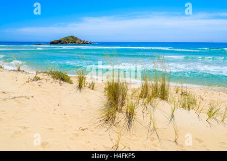 Grass auf Sand Düne am Strand und Türkis Meer Chia anzeigen, Insel Sardinien, Italien Stockfoto