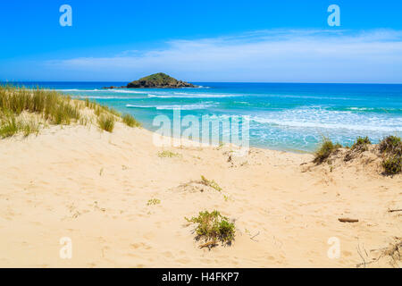 Grass auf Sand Düne am Strand und Türkis Meer Chia anzeigen, Insel Sardinien, Italien Stockfoto