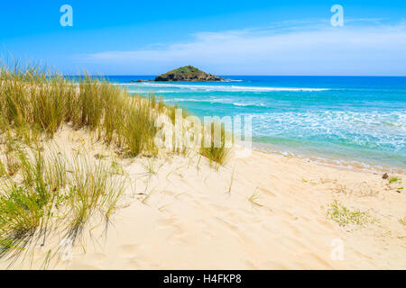 Grass auf Sand Düne am Strand und Türkis Meer Chia anzeigen, Insel Sardinien, Italien Stockfoto