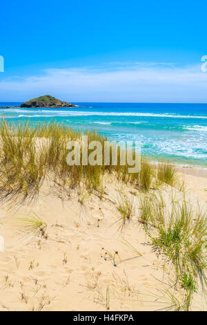 Grass auf Sand Düne am Strand und Türkis Meer Chia anzeigen, Insel Sardinien, Italien Stockfoto