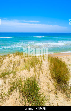 Grass auf Sand Düne am Strand und Türkis Meer Chia anzeigen, Insel Sardinien, Italien Stockfoto