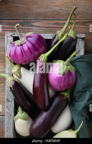 Verschiedene frische Auberginen Stockfoto