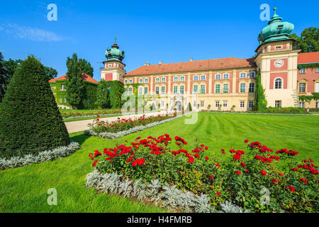 Rote Rosen im Garten von Schloss Łańcut an sonnigen Sommertag, Polen Stockfoto