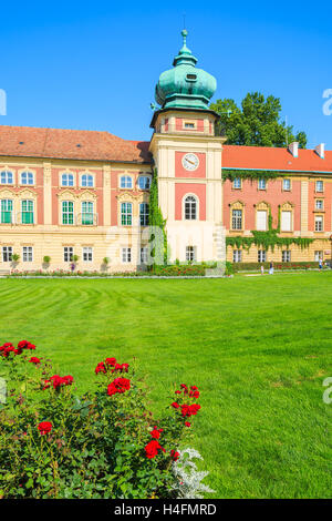 Rote Rosen im Garten von Schloss Łańcut an sonnigen Sommertag, Polen Stockfoto