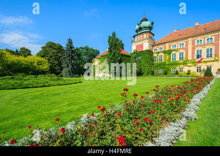 Rote Rosen im Garten von Schloss Łańcut an sonnigen Sommertag, Polen Stockfoto