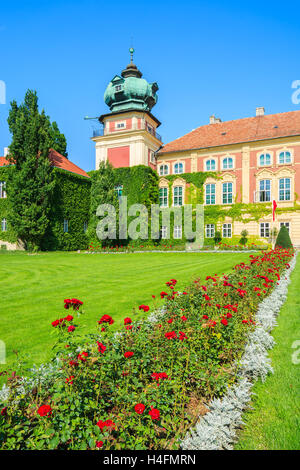 Rote Rosen im Garten von Schloss Łańcut an sonnigen Sommertag, Polen Stockfoto